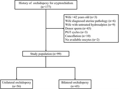 Bilateral versus unilateral orchidopexy: IVF/ICSI-ET outcomes